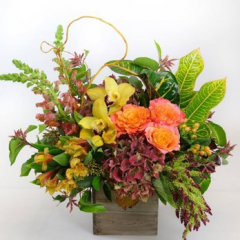 Seller Image